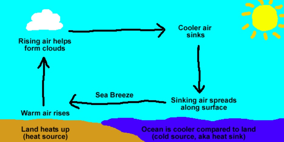 sea-breeze-basics-1
